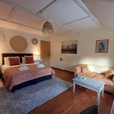 Les Gabelous - Chambre D'Hotes - Viroinval Dourbes 外观 照片